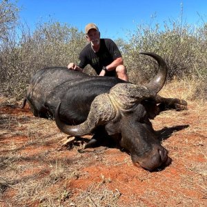 Buffalo Hunt South Africa