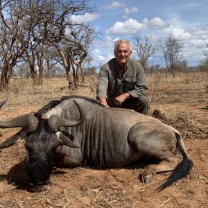 Blue Wildebeest Hunt Tanzania