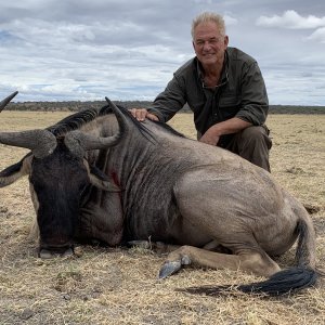 Blue Wildebeest Hunt Tanzania