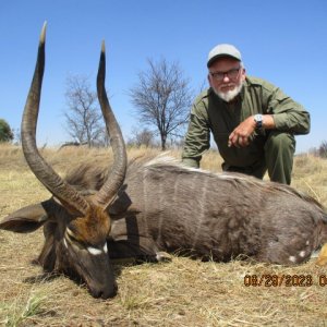 Nyala Hunt Limpopo South Africa