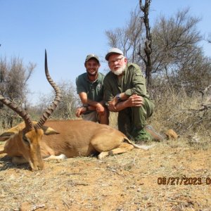 Impala Hunt Limpopo South Africa