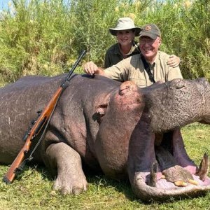 Hippo Hunting Mozambique