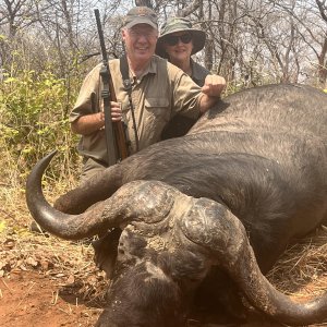 Buffalo Hunting Mozambique