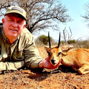 Steenbok Hunt South Africa