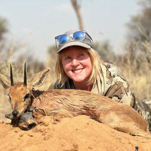 Steenbok Hunt South Africa