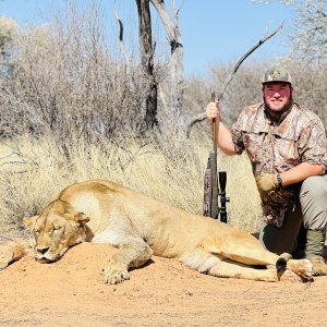 Lioness Hunt South Africa