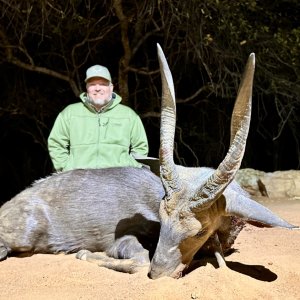 Bushbuck Hunt South Africa