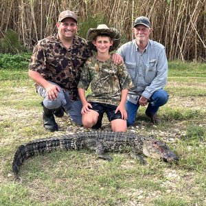 Alligator Hunting