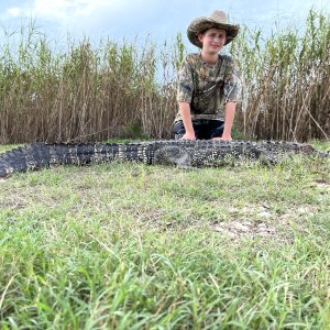 Alligator Hunting