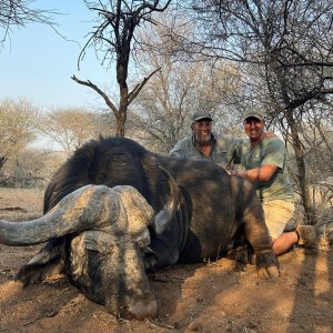 Buffalo Hunt South Africa