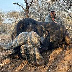 Buffalo Hunt South Africa