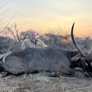 Waterbuck Hunt South Africa