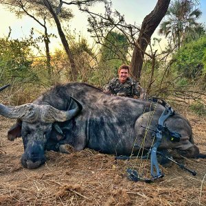 Buffalo Bow Hunt Zimbabwe