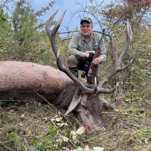 Red Stag Hunt Romania