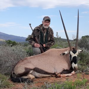 Hunting Gemsbok