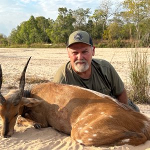 Hunting Bushbuck Tanzania