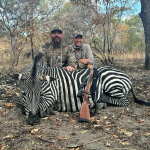 Hunting Zebra Tanzania