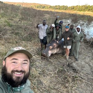 Hippo Hunt Charara Zimbabwe