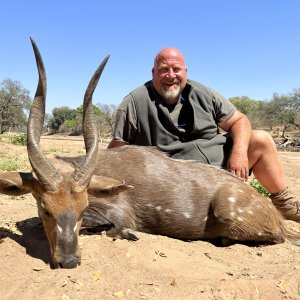 Bushbuck Hunt South Africa