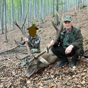 Carpathian Red Stag Hunt Romania