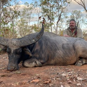 Water Buffalo Hunt Northern Territory Australia