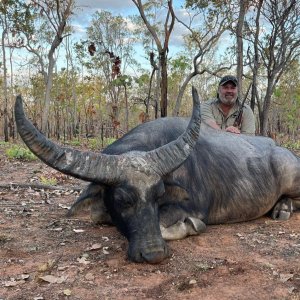 Water Buffalo Hunt Northern Territory Australia