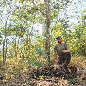 Leopard Hunt Coastal Forests Of Mozambique