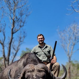 Buffalo Hunt Mozambique