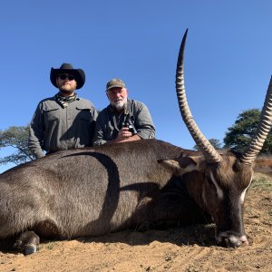 Waterbuck Hunt South Africa