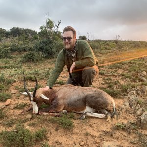 Blesbok Hunt South Africa