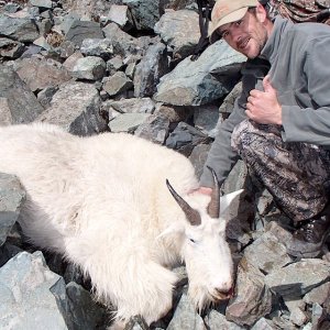 Mountain Goat Hunting