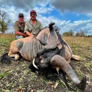 Nyasa Wildebeest Tanzania Selous