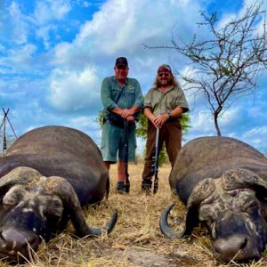 Tanzania Selous Hunt Buffalo