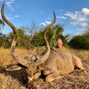 Kudu Hunt Tanzania Selous