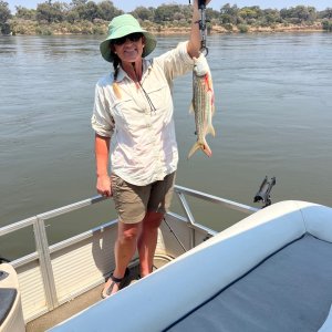 Tiger Fish Fishing Zambia