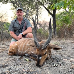 Bushbuck Hunting Zambia