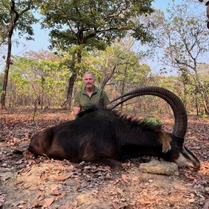 Sable Hunting Zambia