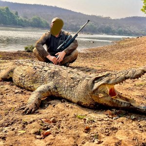 Crocodile Hunt Zambia