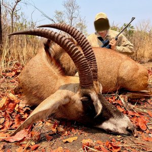 Roan Hunt Zambia