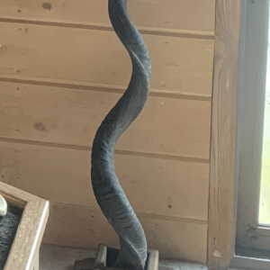 Kudu Horn Pedestal Mount