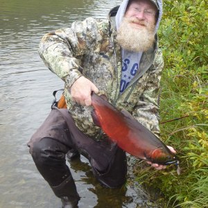 Fishing Salmon Alaska