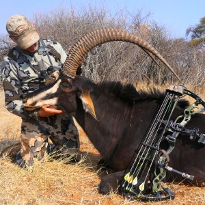 Sable Bow Hunting South Africa