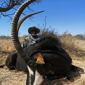 Sable Hunting South Africa