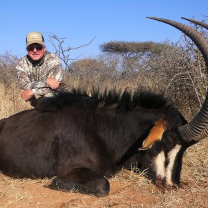 Sable Hunting South Africa