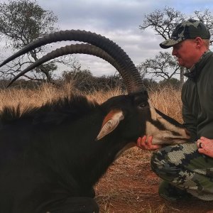 Sable Hunting South Africa