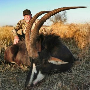 Sable Hunting South Africa