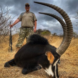 Sable Hunting South Africa