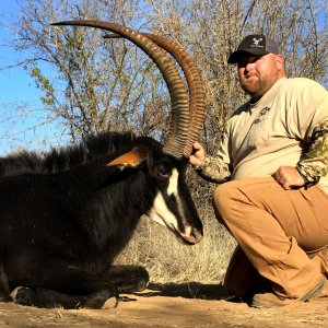 Sable Hunting South Africa