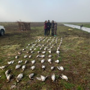 Bird Hunting Argentina