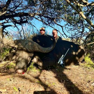 Buffalo Hunt South Africa